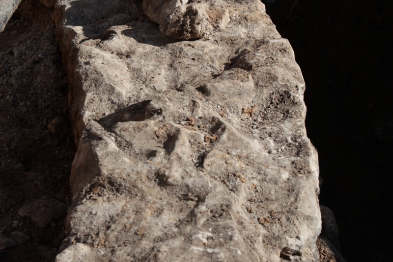 Novinky / Vzácna kaplnka aj nálezy z praveku: Pri Ružičkovom dome našli významné archeologické objavy - foto Novinky / Vzácna kaplnka aj nálezy z praveku: Pri Ružičkovom dome našli významné archeologické objavy - foto